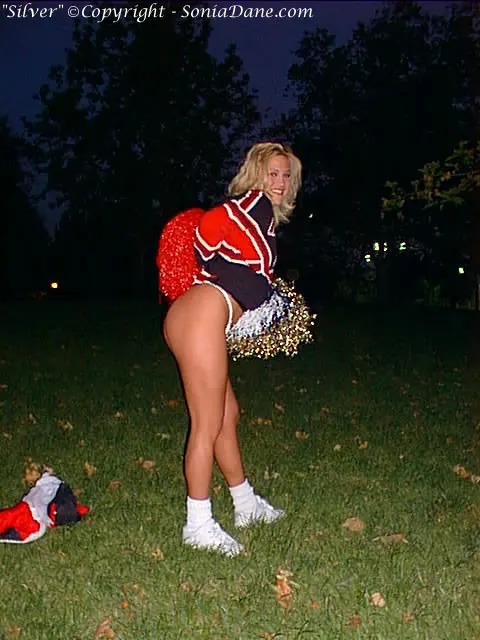 Silver's Picture of the Day at Sonia Dane's website